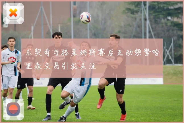 东契奇与格莱姆斯赛后互动频繁哈里森交易引发关注